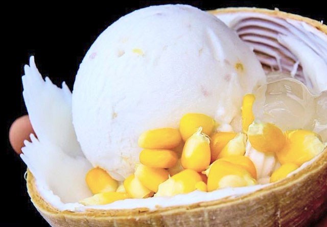 KOKO thai coconut ice cream